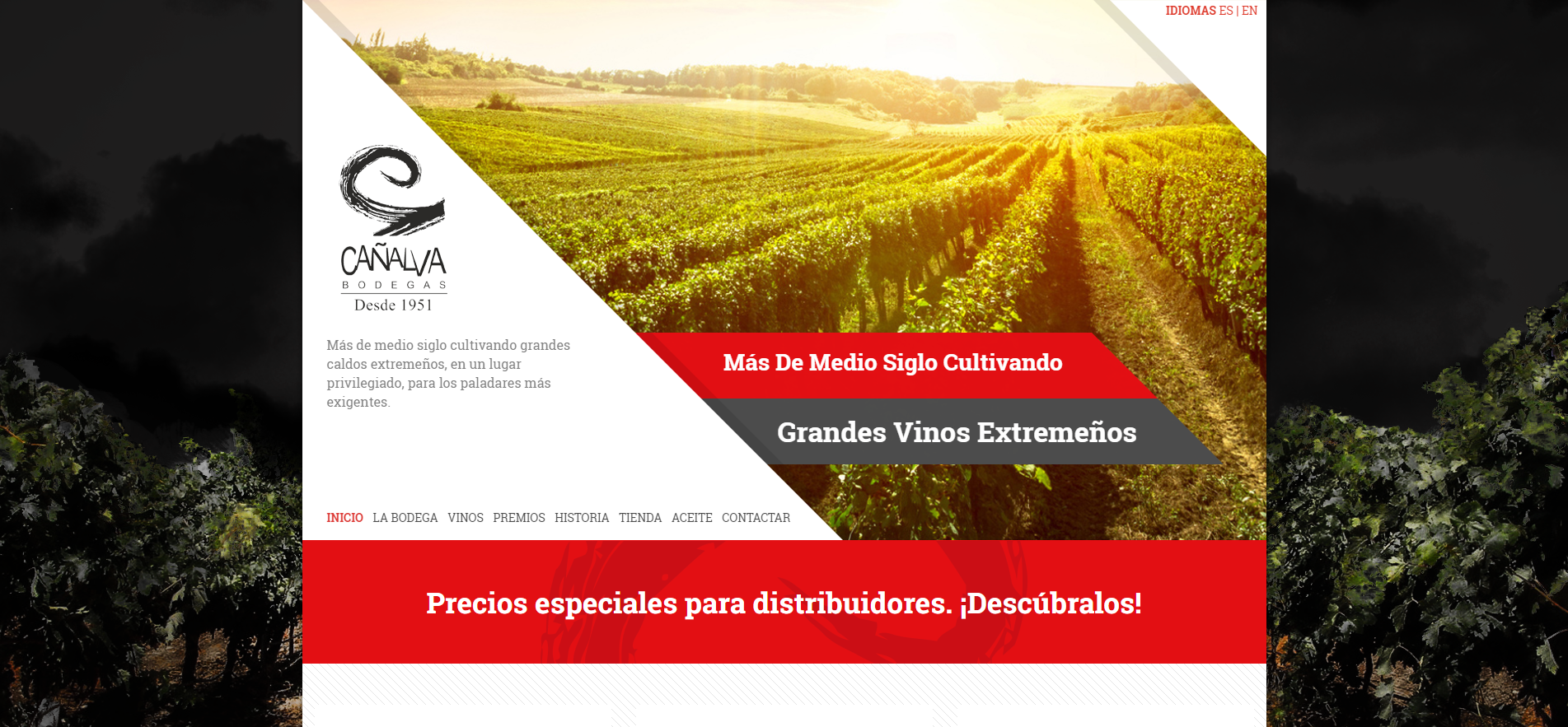 Diseño Web Bodegas