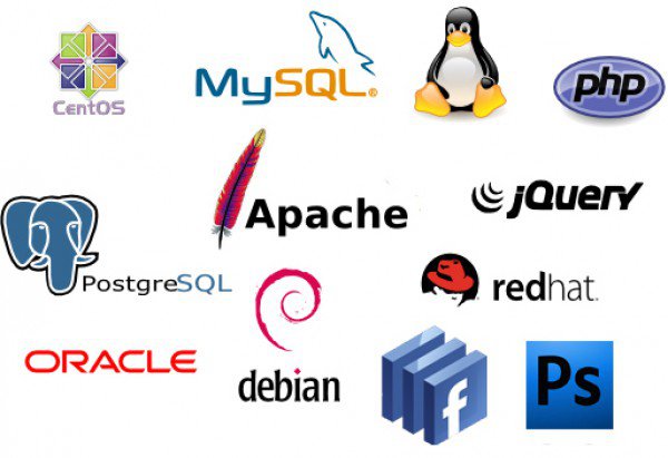 Oferta de Trabajo de Programador Web