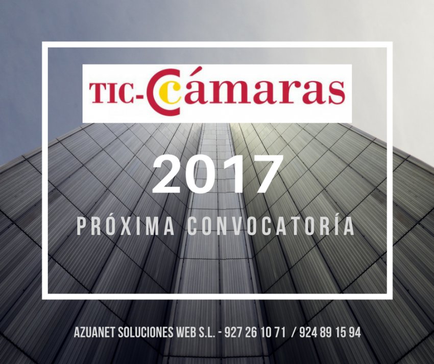 Subvención TIC Cámaras 2017, Cheques para inversión en las TIC